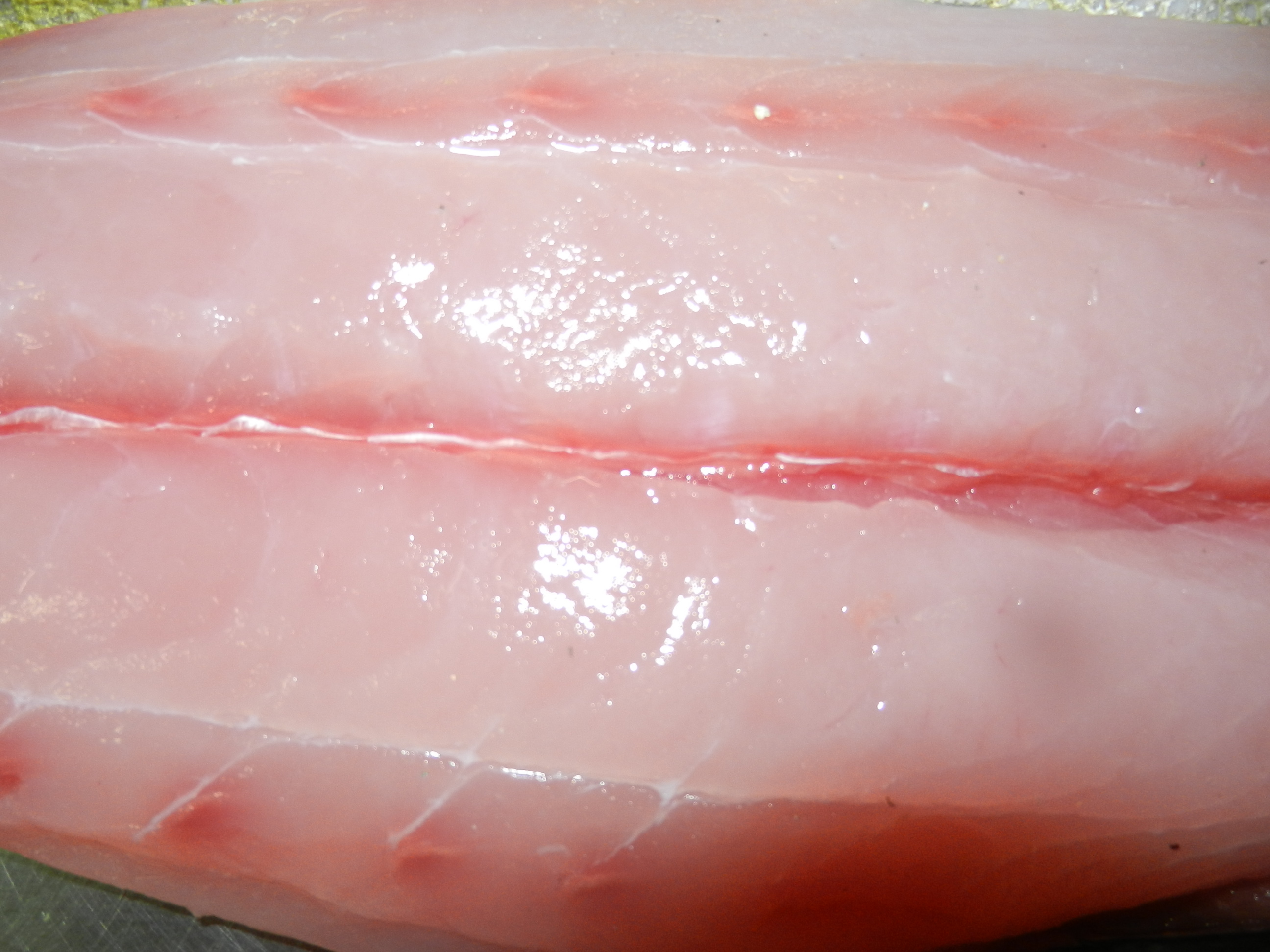 Mahi « AFFCO Trading